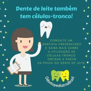 As c�lulas-tronco da polpa do dente de leite